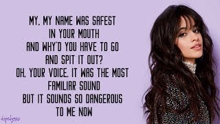 I Have Questions - Camila Cabello (Lyrics) Resimi