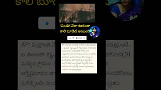 P News 2026 Video P Police