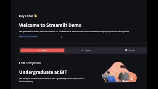 How to create a portfolio website using Streamlit