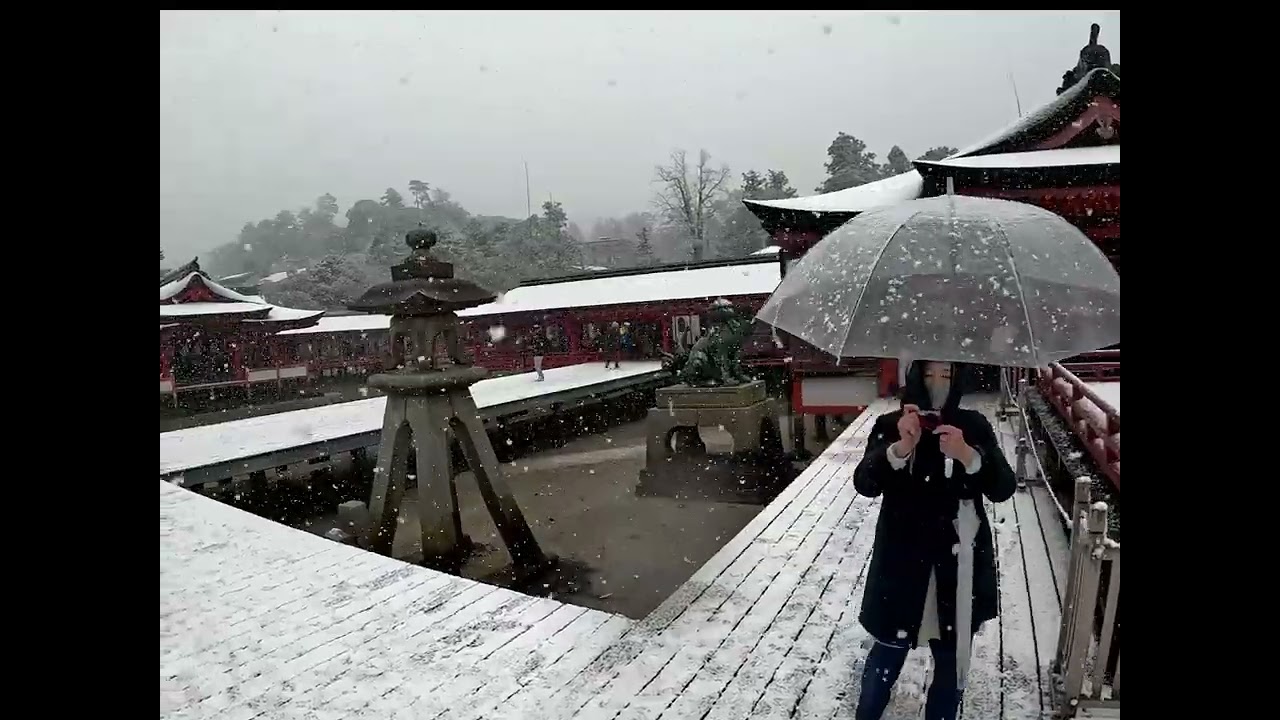 2026年厳島神社初詣