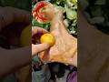 🍋Feet Suntan Removal Scrub | Most Easy Pedicure At Home #feetcleaning #ytshorts