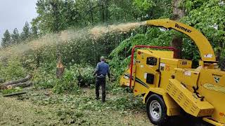 VID2023062112 shredding branches