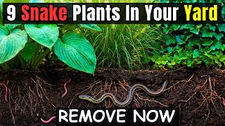 9 Strange Plants That Secretly ATTRACT SNAKES Into Your GARDEN — Do This Now.