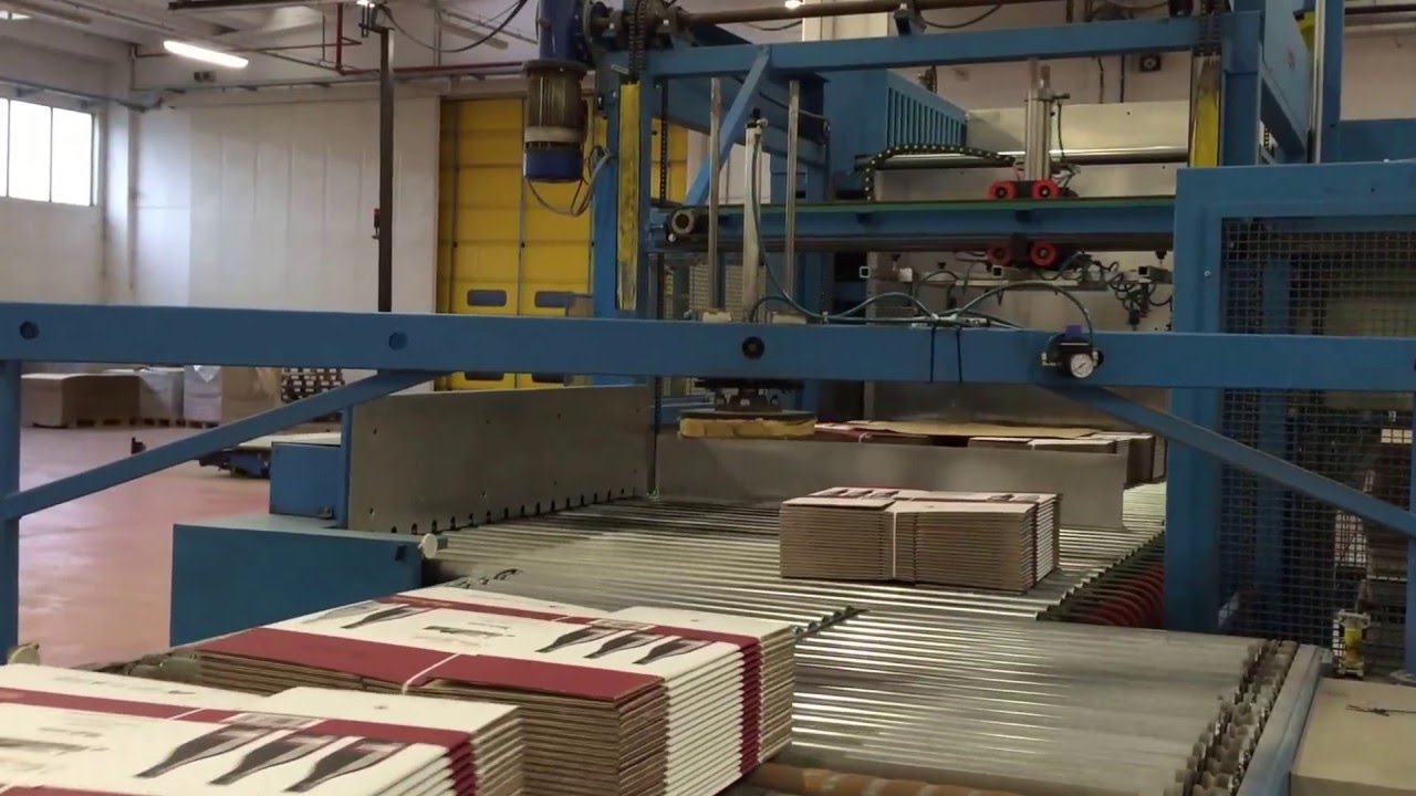 Castaldini Palettizzatore video celotti consulting