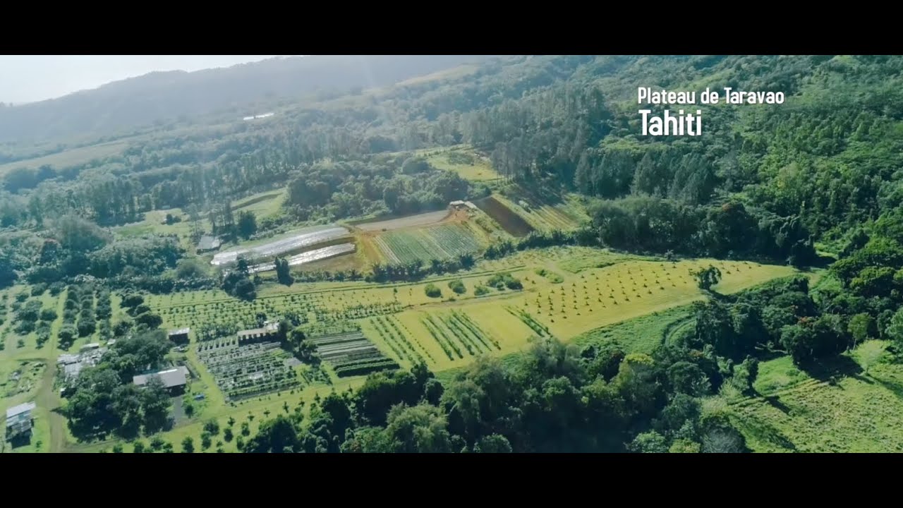 Fa'ahotu 2 : Agriculture biologique