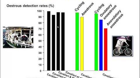 TV4001 Synchronisation of oestrus in cattle 6  Progesterone and progestogen based protocols