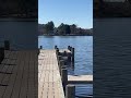 WARNING No Video Skills Ole Nessie Otter Riverotter Ncwlifechannel Bluecrab Crab Bathnc 