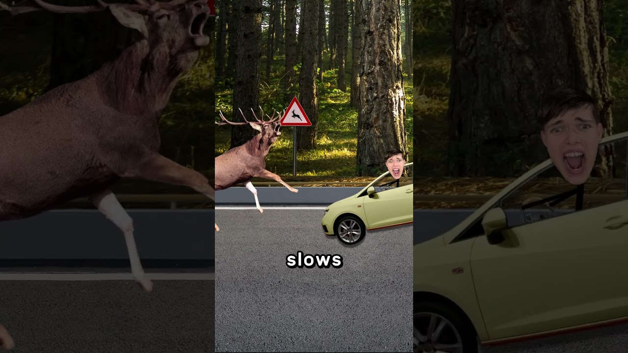 How Traffic Jams Form 🚙🚗🚙