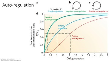 MCB 182 Lecture 11.7 - Network structural motifs and scale-free property