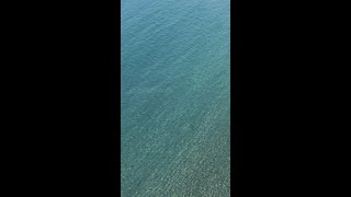 Alaya - Jinan Island