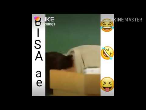 video lucu wik wik korea