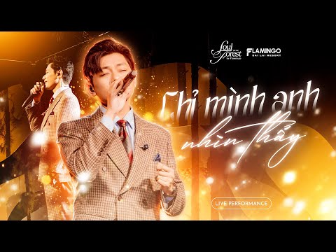 CHỈ MÌNH ANH NHÌN THẤY - Thái Đinh (ST: Thái Đinh, Nam Kun) | Live at Soul of The Forest