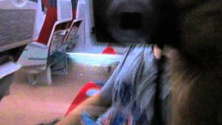 2014.05.30 TEMU2000型 第217次普悠瑪號 臺北-板橋窗景+走行音