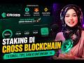 Staking di CROSS Blockchain Tutorial, Tips, dan Keuntungan