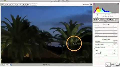 Adobe CS5: Free Sneak Peek Videos - 4. Noise Reduction in Adobe Camera Raw 6