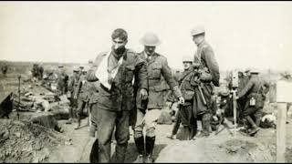 German Casualties in War The Human Cost of Conflict