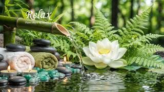 Relaxing Music for Insomnia Relief 🌿 Nature Sounds for Inner Calm | Sleeping Music for Deep Sleeping