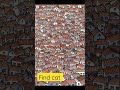 new puzzle find cat #shortsfeed #short #puzzlegame