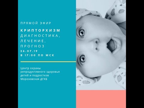 Крипторхизм - диагностика, лечение прогноз. Запись прямого эфира