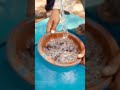 Donor Review: Bringing Hope Through Clean Water 💧 Quba Foundation