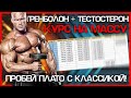 МОЩНЫЙ КУРС НА МАССУ! ТЕСТОСТЕРОН + ТРЕНБОЛОН. НАСТОЯЩАЯ КЛАССИКА 💪😎