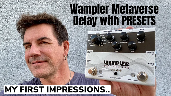 WAMPLER PROGRAMMABLE DELAY! METAVERSE.. my FIRST I...