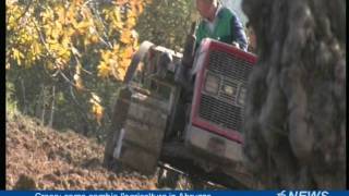 Cresa, come cambia l'agricoltura in Abruzzo