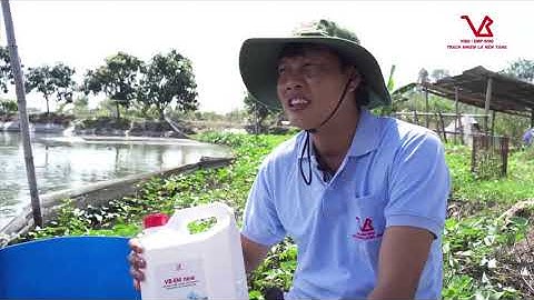 VB-EM new - NGƯỜI NUÔI CÁ SẶC RẰN TÂM ĐẮC SỬ DỤNG