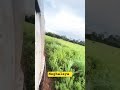 off-road in Meghalaya jypsy #trending #shorts