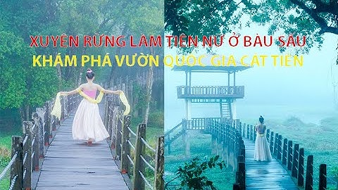 TREKKING 5KM XUYÊN RỪNG VÀO BÀU SẤU - KHÁM PHÁ 2N1D Ở VƯỜN QUỐC GIA CÁT TIÊN - XU KIÊN BLOGGER
