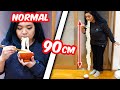 This is japans longest noodles