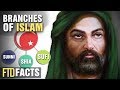 The Differences Between The Major Branches Of Islam