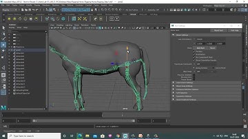 Maya Horse Rigging Part2