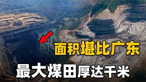 煤层厚达1千米，延伸上千公里！世界最大的煤田真是植物形成的？ - 天天要闻