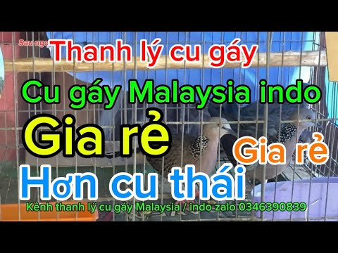 Thanh lý cu