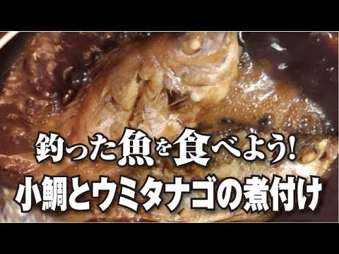 小鯛とウミタナゴの煮付け 釣った魚を食べよう 3 Youtube