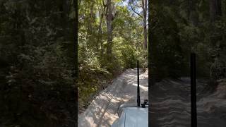 Driving in Fraser Island #FeaserIsland #4x4 #australia #shorts