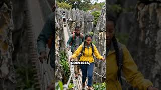 Madagascar’s Tsingy: Stone Forest Wonders