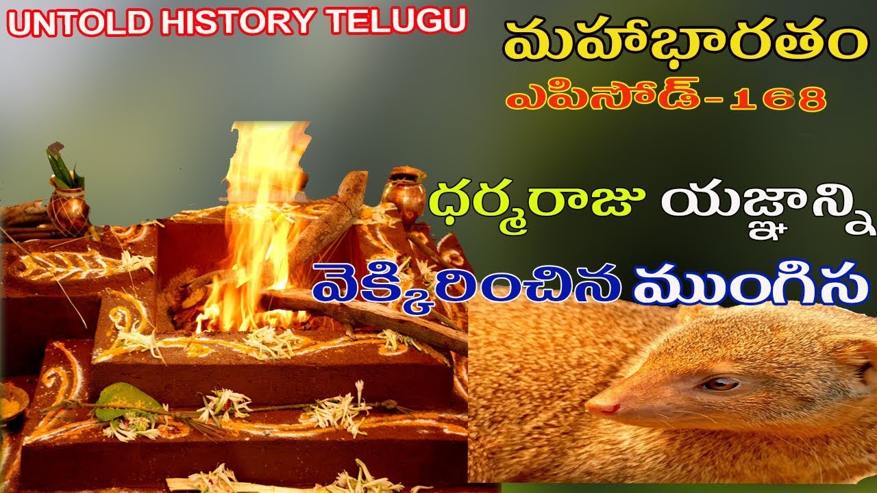 ధర్మరాజు యజ్ఞాన్ని వెక్కిరిచిన ముంగిస ||MAHABHARATAM||EPISODE-168||UNTOLD HISTORY TELUGU||UHT