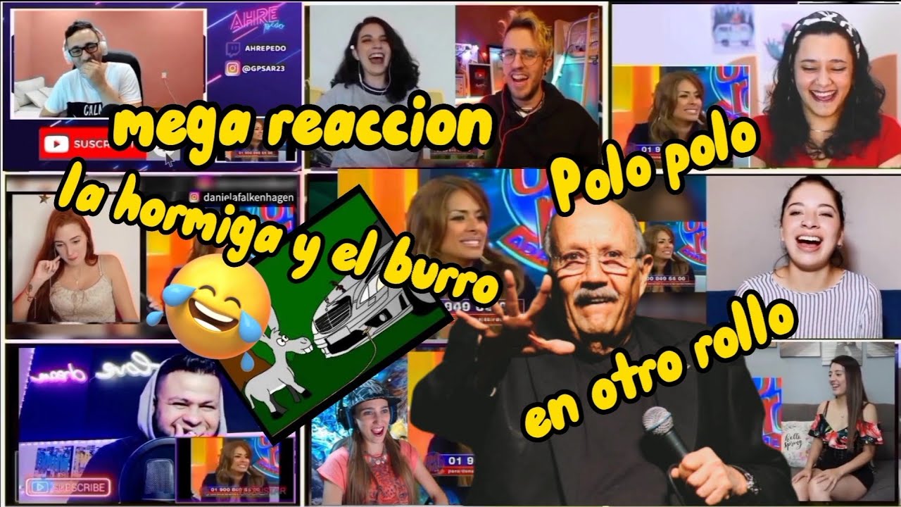 EXTRANJEROS REACCION 'POLO POLO LA HORMIGA Y EL BURRO EN OTRO ROLLO'