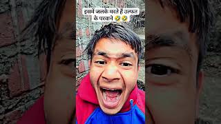 इसमें जलके मरते है उल्फत के परवाने🤣🤣#shorts #comedy #shortsvideo #viral #trending #shortsfeed #funny