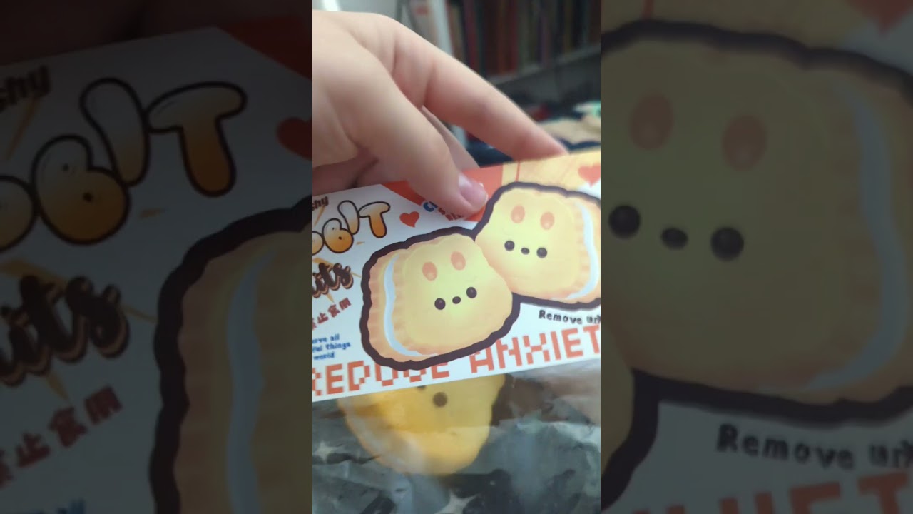 The slow rising squishies i got at a school festival 