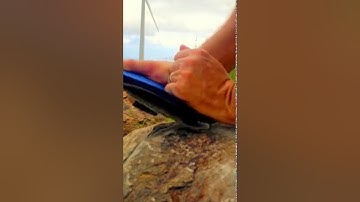 Kingetics Solution to Robotic Flat Feet-  Innovation Submission to WearRAcon16