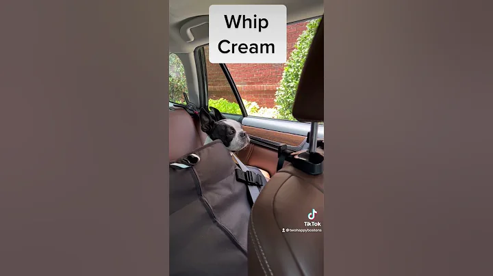 Not again!! Where is my Chino? #tatumtalks #twohap...