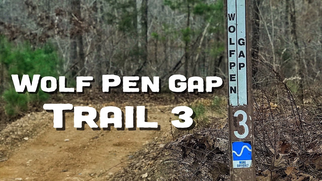Trail 3 on a Fall Day - Wolf Pen Gap - Mena, Arkansas
