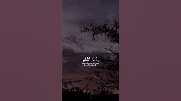 وَاللَّهُ يَدْعُو إِلَىٰ دَارِ السَّلَامِ#عبدالرحمن_مسعد | #سورة_يونس