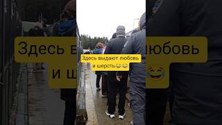 Здесь выдают любовь и шерсть😂😂 #приютмалинки