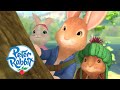 Peter Rabbit - Peter Loses His Father's Secret Journal | High-Flying Adventures! | Cartoons for Kids