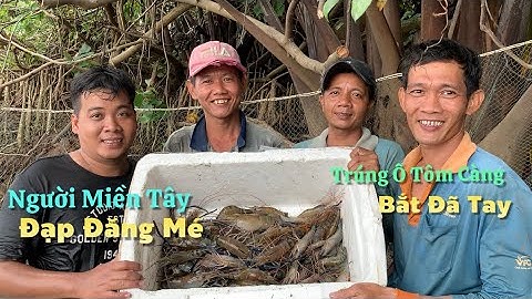 Người Miền Tây đạp đăng mé trúng ổ Tôm Càng Xanh bắt đã tay thiệt | Cù Lao Dung Vlogs #629