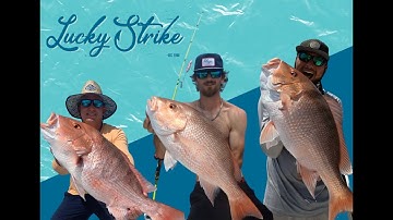 Best Techniques to Catch Big Red Snapper in the Gulf of Mexico. Red Snapper 2023